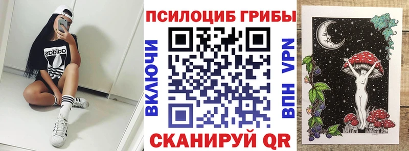 Галлюциногенные грибы Psilocybine cubensis  Болхов 